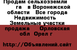 Продам сельхозземли ( 6 000 га ) в Воронежской области - Все города Недвижимость » Земельные участки продажа   . Орловская обл.,Орел г.